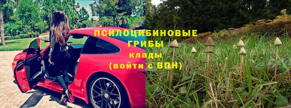 ПСИЛОЦИБИНОВЫЕ ГРИБЫ Абдулино