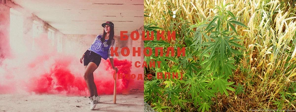 ПСИЛОЦИБИНОВЫЕ ГРИБЫ Снежинск