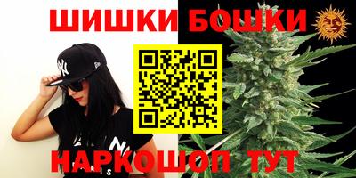 гидропоника Кингисепп