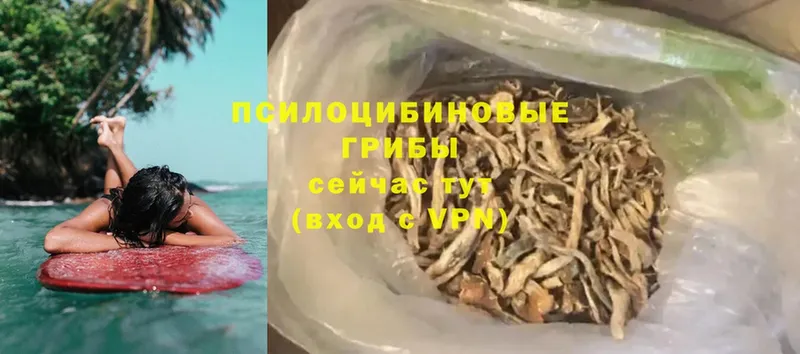 ссылка на мегу ссылка  Сызрань  Псилоцибиновые грибы мицелий 
