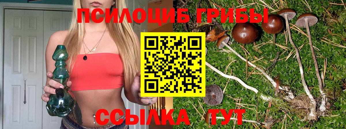 Галлюциногенные грибы прущие грибы Сызрань