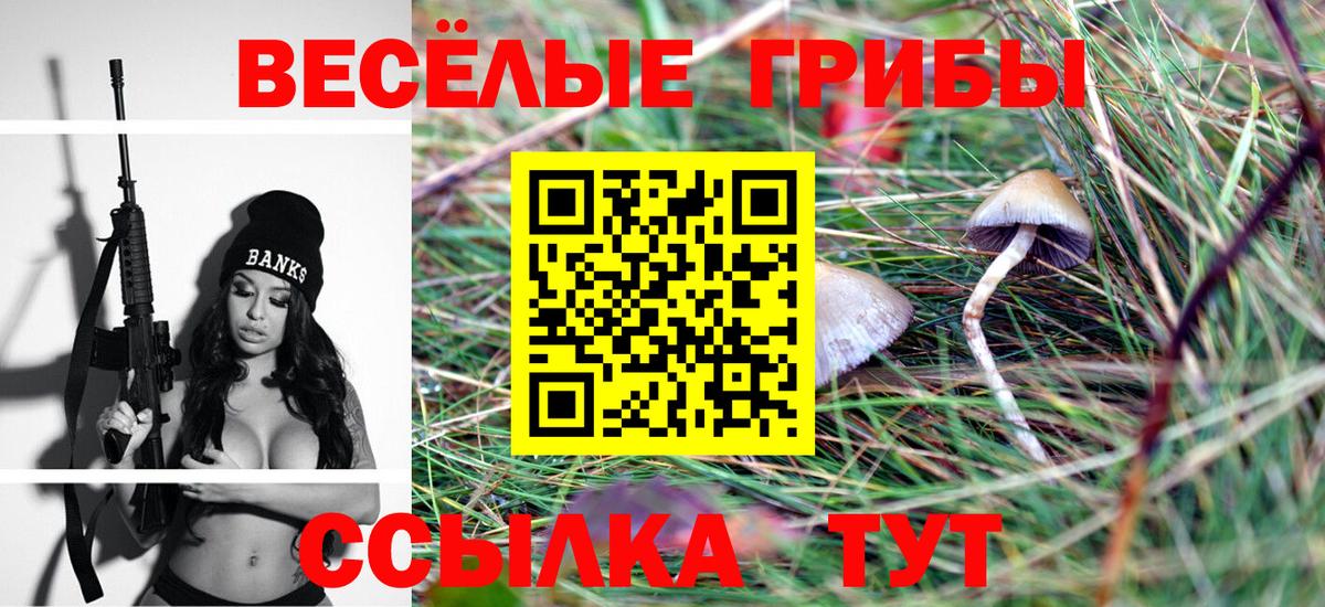 Сызрань  Псилоцибиновые грибы прущие грибы  Вход с VPN 