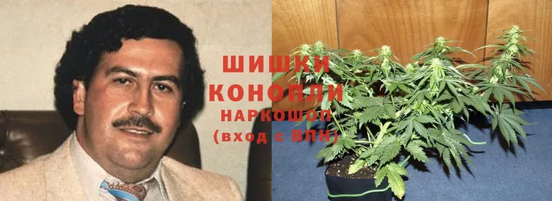 Каннабис планчик  закладка  Сызрань 